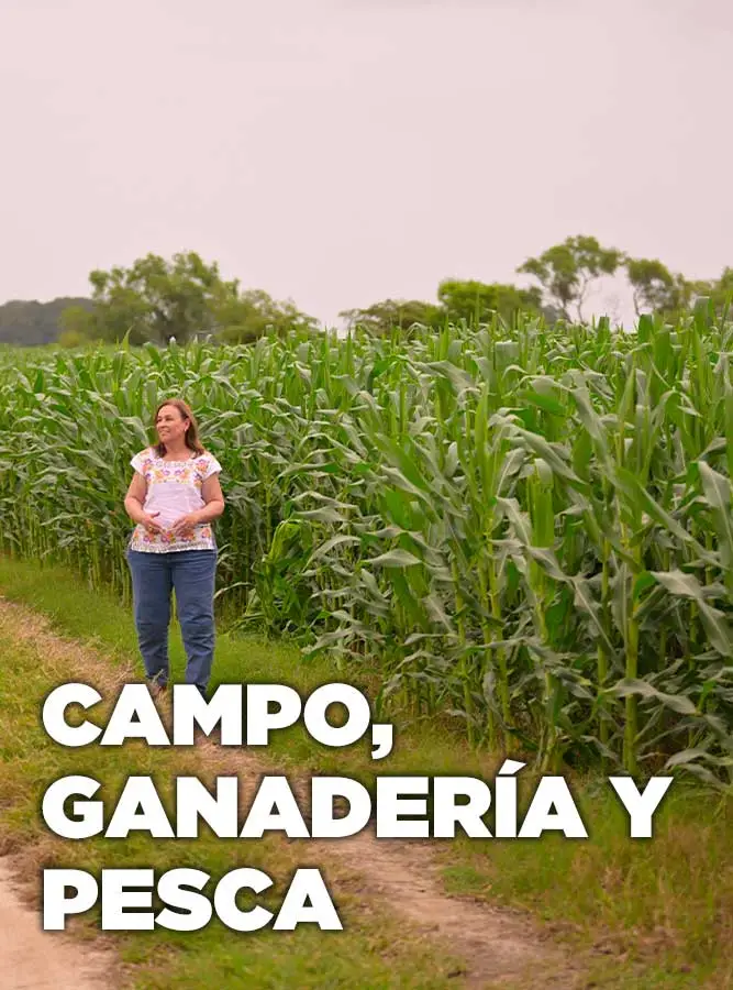 Rocío Nahle García